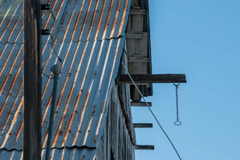 Metal Roof vs. Asphalt Shingles in Olympia: Which Is Right for You?