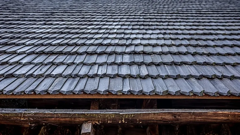 Weathered cedar shingle roof that needs cleaning and moss treatment in Olympia