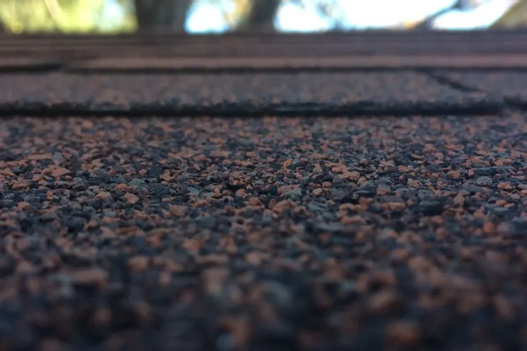9 Signs You Need a New Roof in Olympia, WA